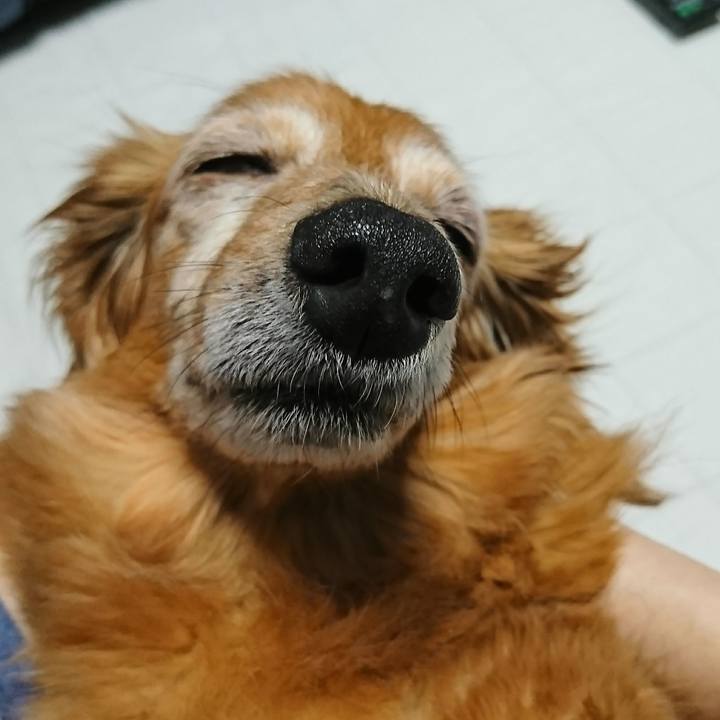 23063898 6d1c 4f94 83e5 5149eed7d409