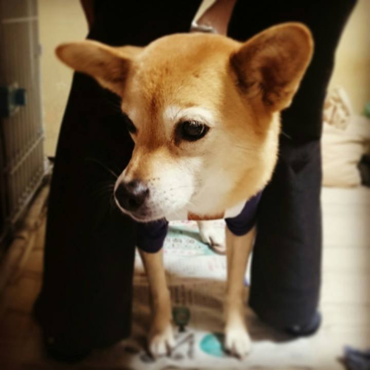 23064de1 367d 4f88 a547 2de222f6adbc