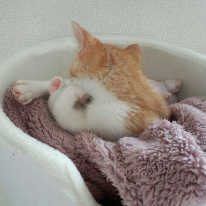 23066543 9eff 4699 b68b 9d2ad83e2624