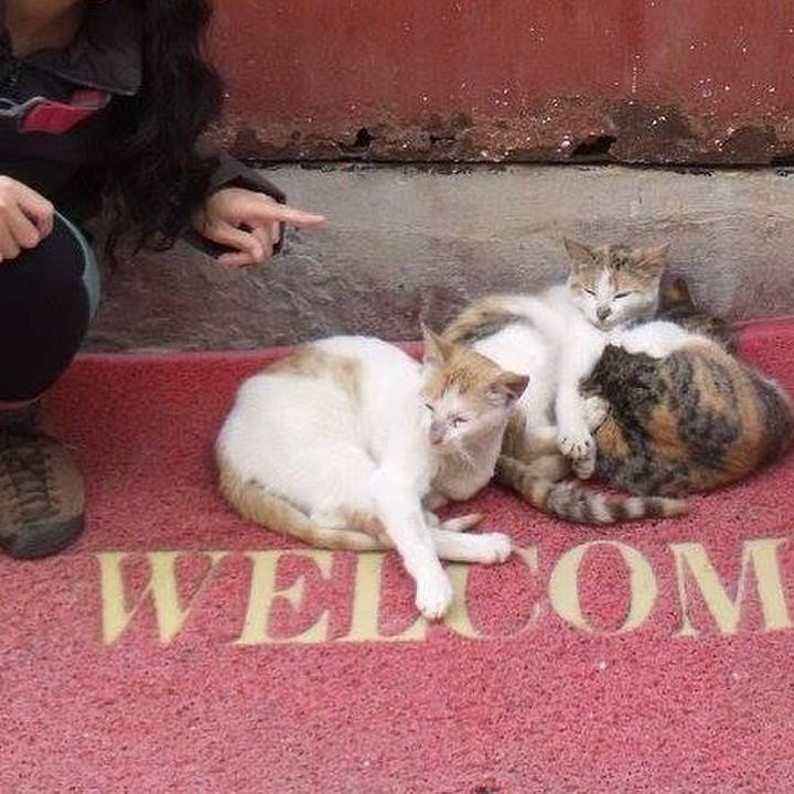 23067292 8aa8 4cb3 b9d2 758f4a75f567