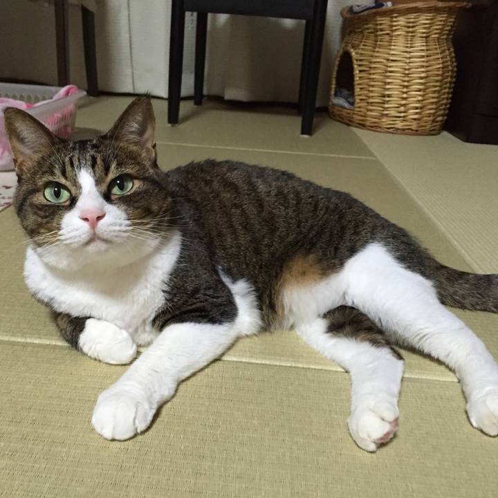 23068099 6186 4a04 9daa 902d56f94117