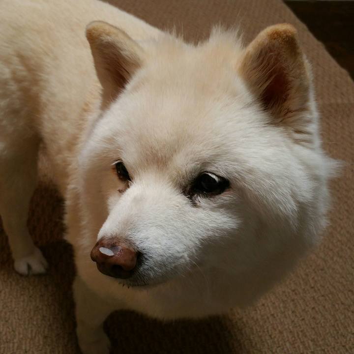 23072fbc 5a1c 4eb7 bcd0 0a89ec303111