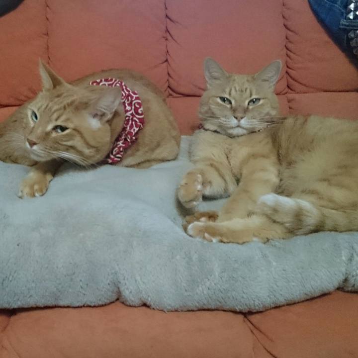 2307dc1c cb29 4328 8a11 f9e5dde9bbb5