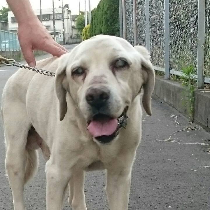 23080714 25b9 4e93 87fd 17eb6531aa44