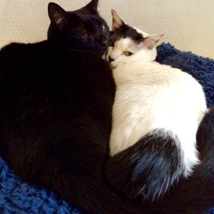 23091a15 4b0b 4ad4 b492 df54615c3476