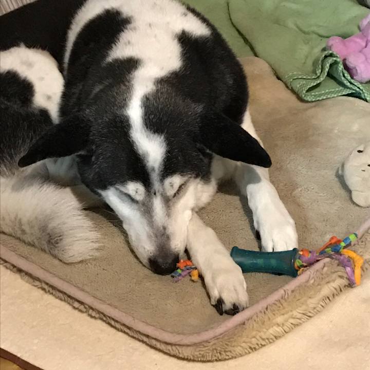 23095c91 de9e 459b a2b4 e5e5f831aa2e