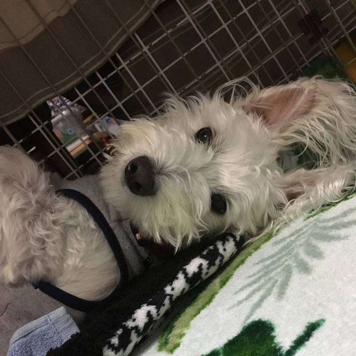 2309c5ad ef82 4dde 9b47 79d5f2161395