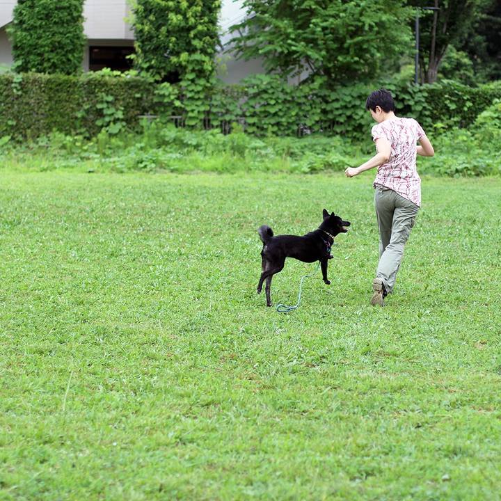 230a621f 2f44 4952 911c 74962fea01bb