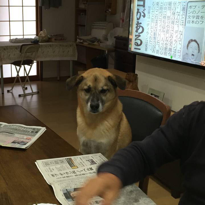 230ad35f 043b 4af2 aef4 562d560bd442