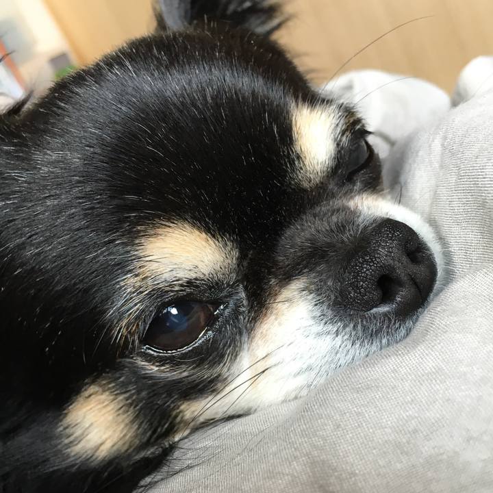 230aff51 6023 4030 a577 36500f48a29a