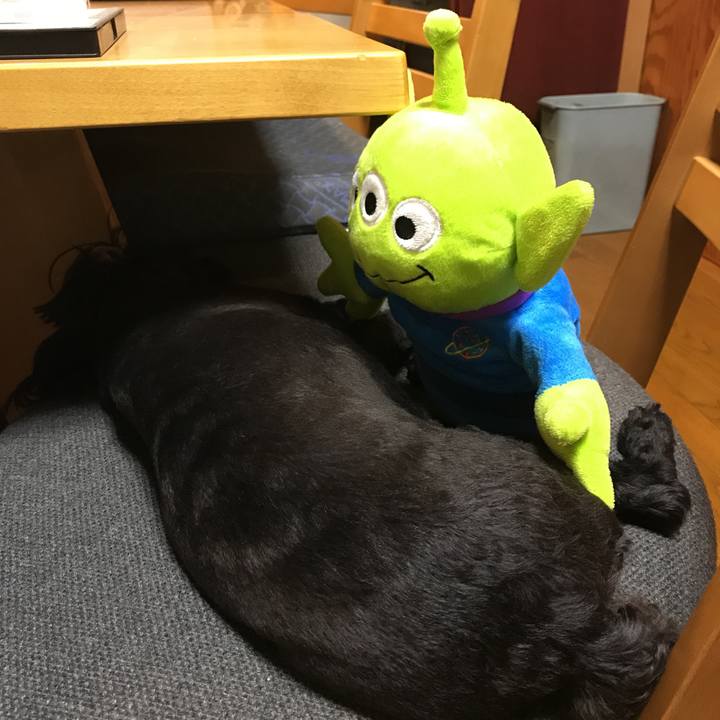 230b11bd d206 4f9e 80a1 0d82d40f6431