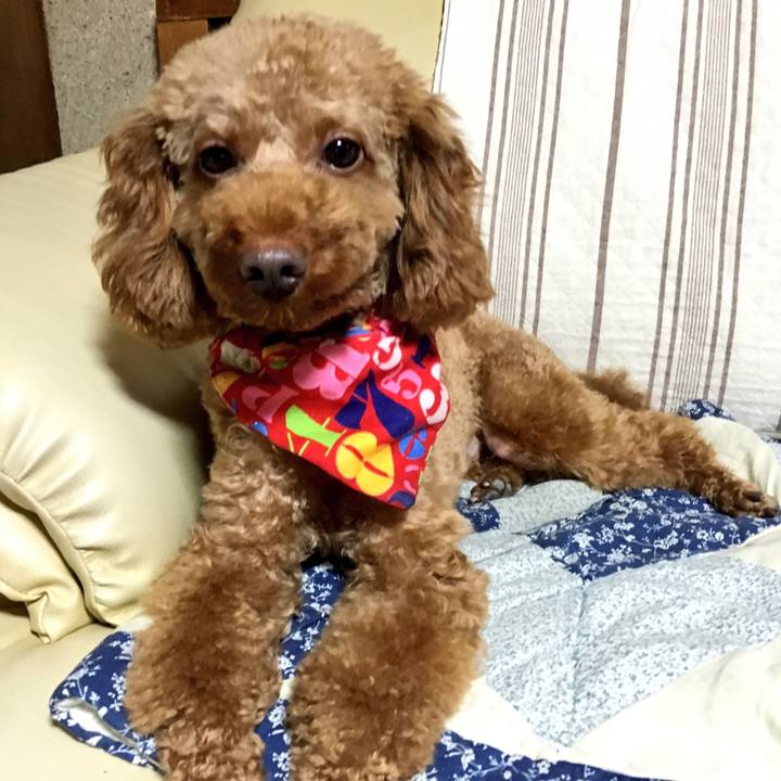 230b1e7b 4580 4464 a986 04a673c0a093