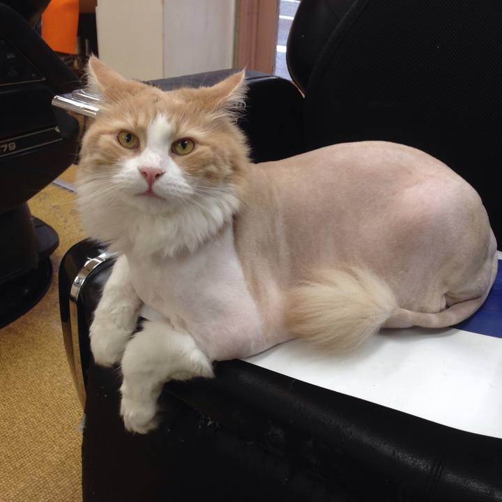 230bca74 1242 4620 b2e9 2e7b4afba249