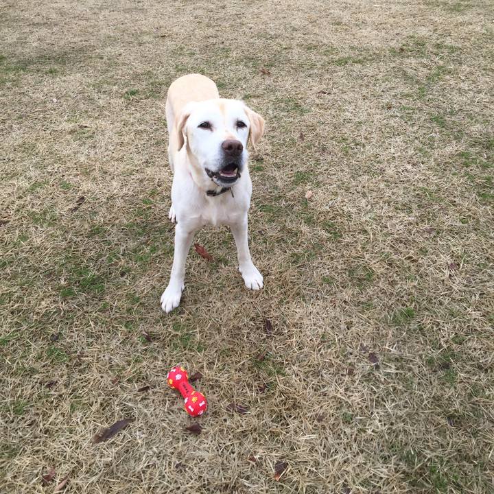 230bcfea 1e65 4df9 807a 4e9d42c5865c