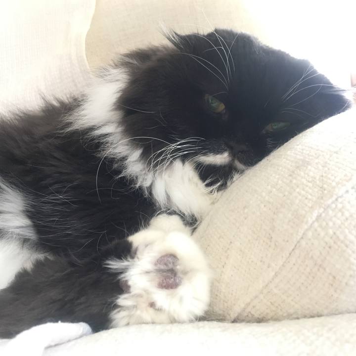 230bf634 f843 4b7e 80c2 93a9bb2b9f77