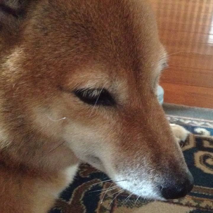 230ccf98 da90 4c83 8967 eb210bee2efb