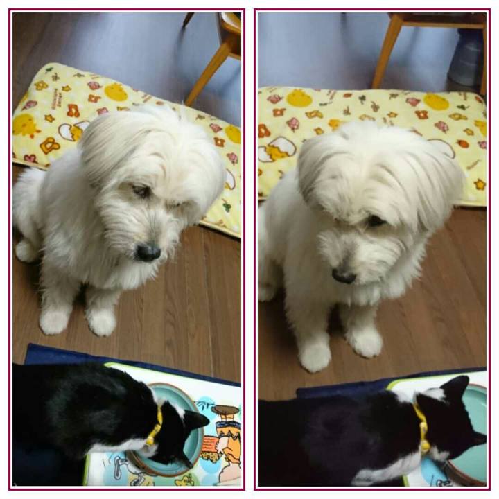 230d8f76 633d 4c46 9331 a8a70049b660