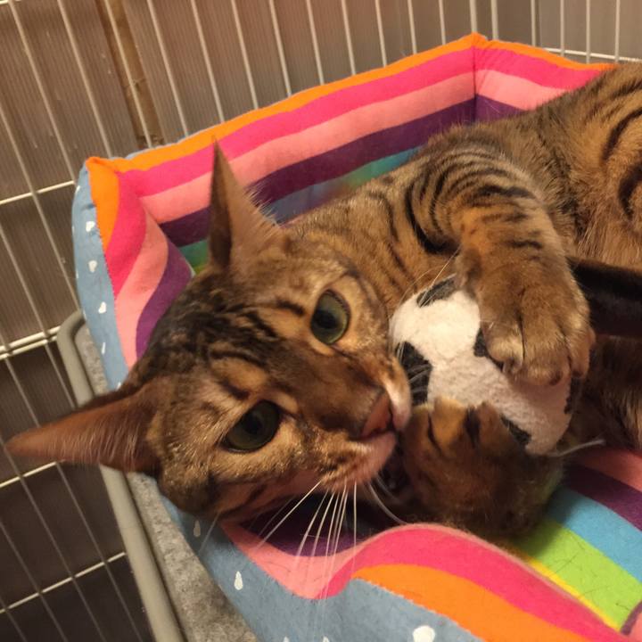 230e6be1 2447 4bb1 87b0 c0474d744039