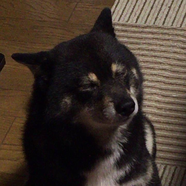 230f7a59 3621 4945 9171 492305050e8c