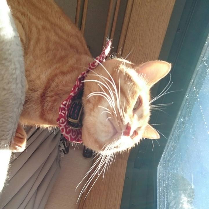 230fbb1c 7313 4463 a73b e3415a79d817