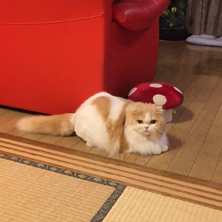 230fbfd6 f4de 4a23 9161 3c979a73d6a8