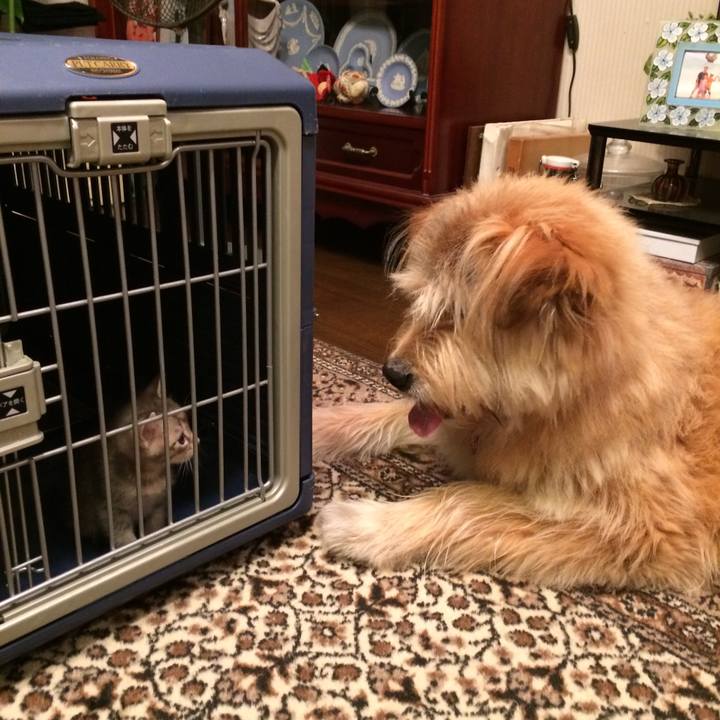 230fe125 ade7 48c3 bd6d b64358d26533