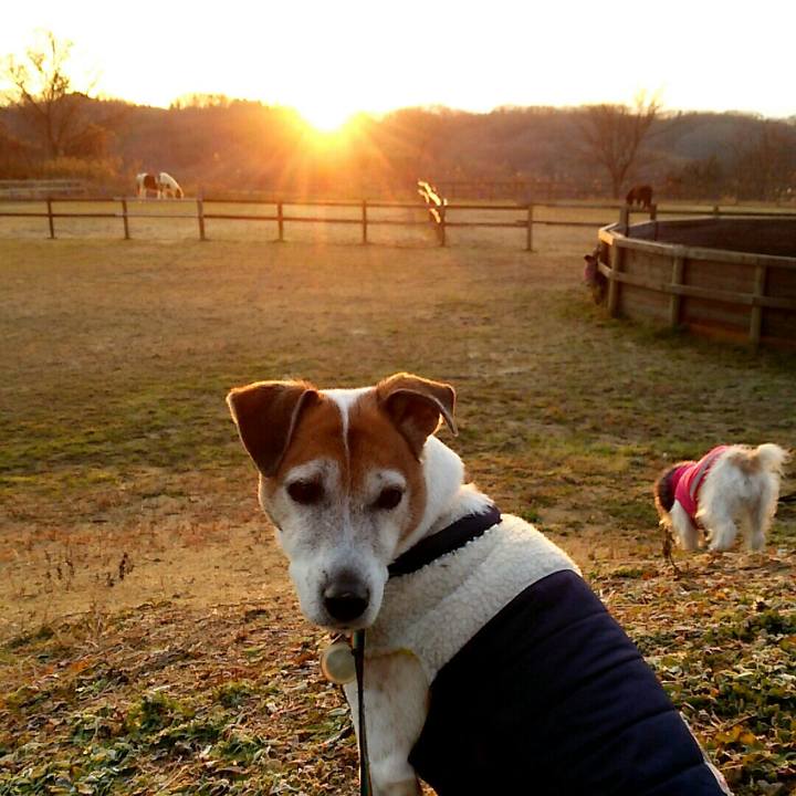 230fe98a 0a85 48fd a63f b40779aa862c