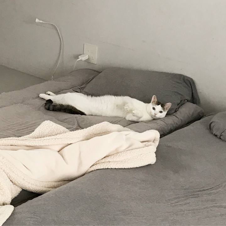 23101519 1dea 42f7 9377 9ae785dc2da1