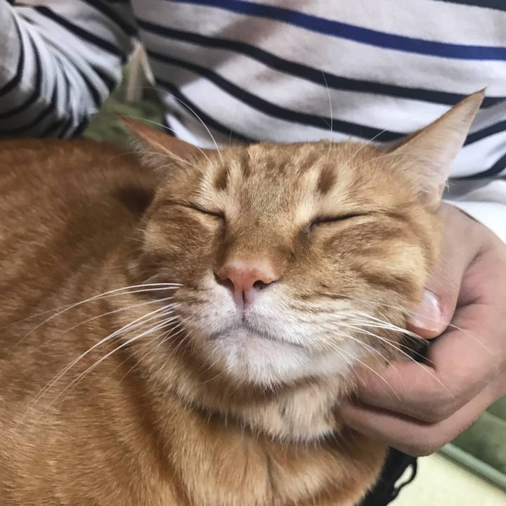 231031ff e023 4249 94c3 8a82f13269d9