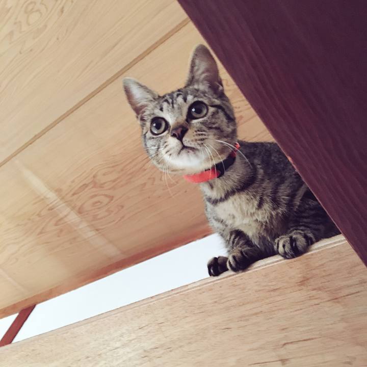 231107cd e83b 47d5 b1e9 915818a07c05