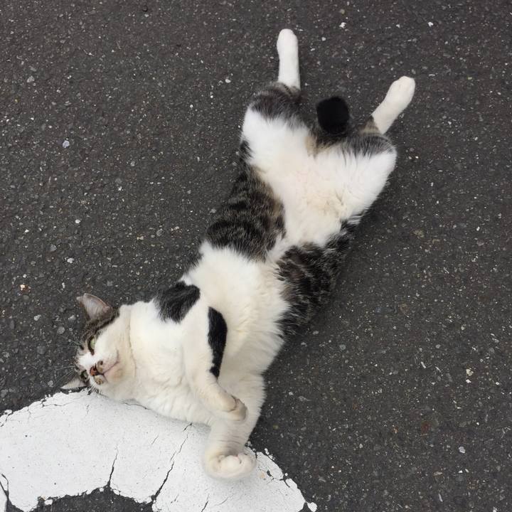 231116c9 f264 4ca8 836d de370b146cd0