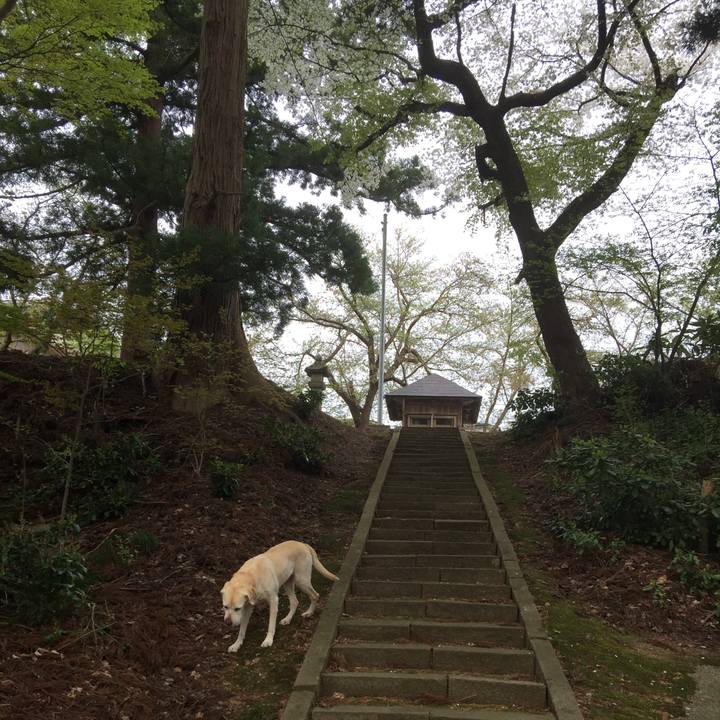 23116eba 882f 4302 b0e9 abeb712f0981