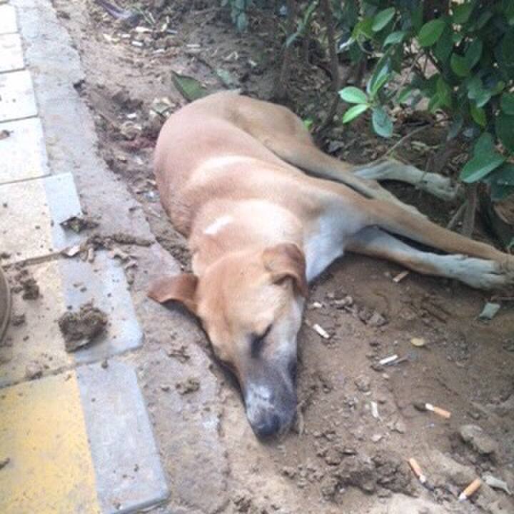 2314634c 93bd 4bbf 81a3 5f0a6aadf6ce