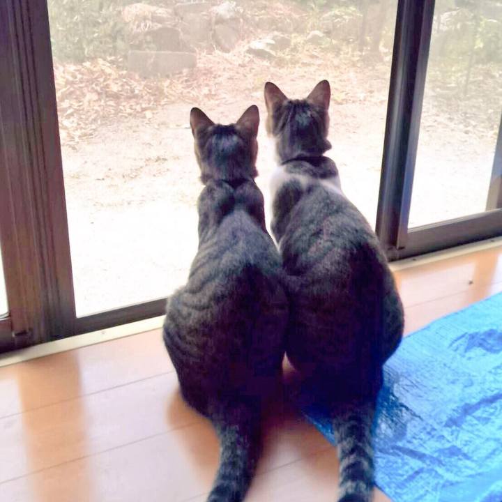 23146be9 a05d 4ce6 9b81 c88e704d5d0d