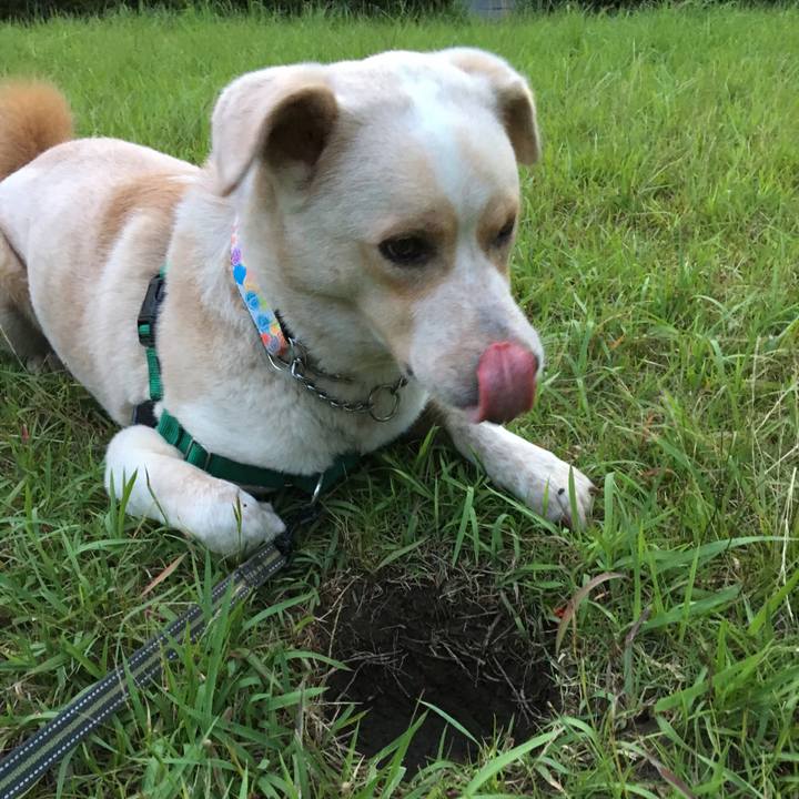 23155002 8e69 4e02 87a7 a4b89077b87a