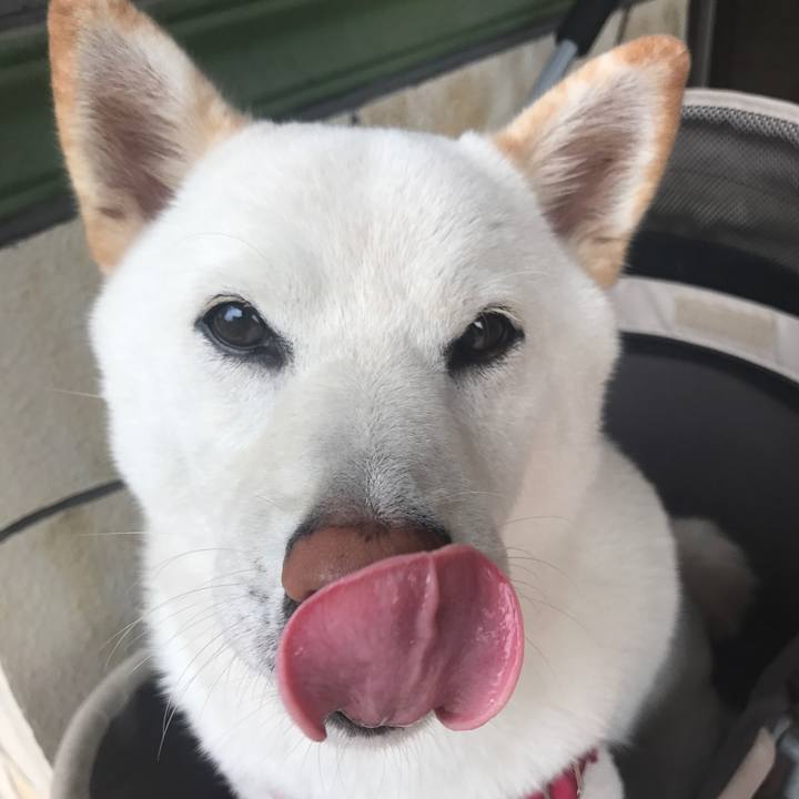 2315d1b4 75e9 4a1a bd52 2c294bcd390a