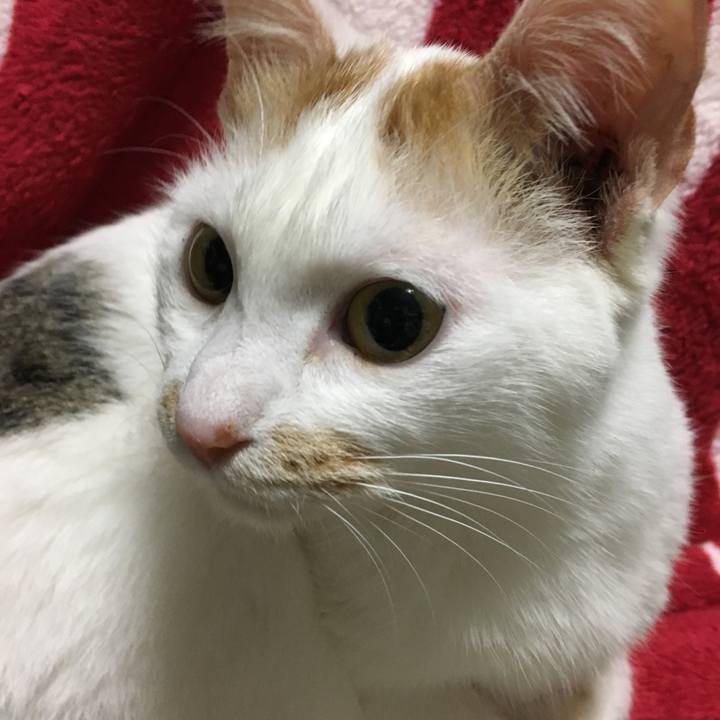 2315fbf0 c2ee 4b77 b054 f6985198483e