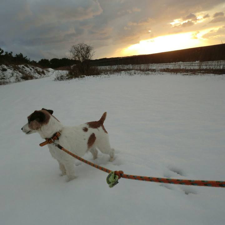 2316fd28 51d9 4123 96f9 9d5378e0a6e1