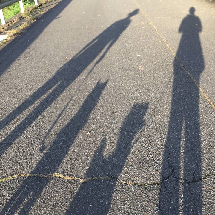 23179069 fb65 49eb 89b0 13d37ade837b