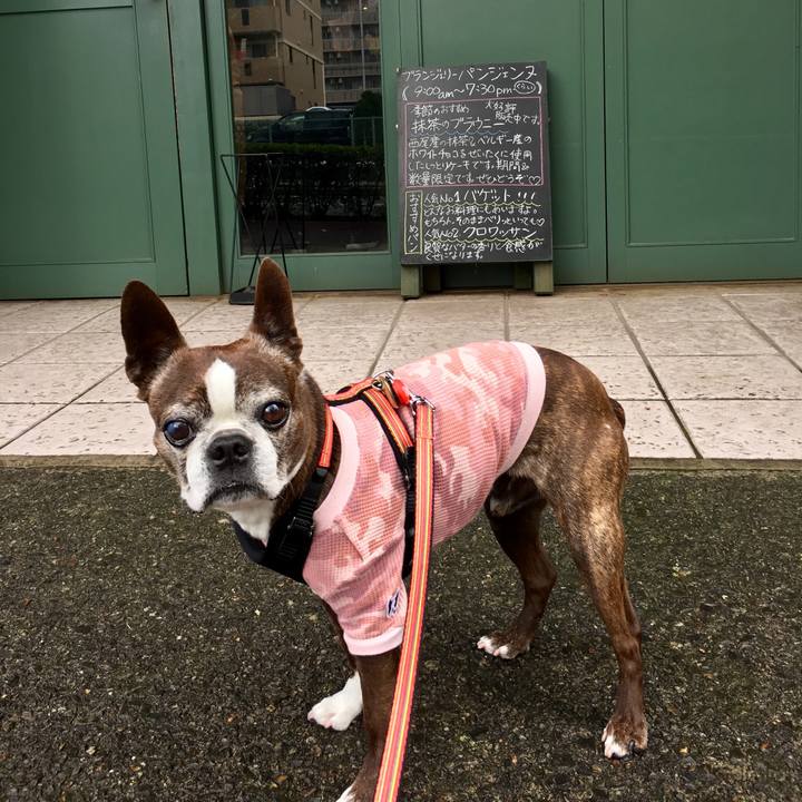 2317ccae 23a5 4d3d b3ae 9a32dea6950b