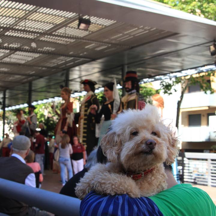 231817ed b8f7 47a5 9de5 9f610df63343