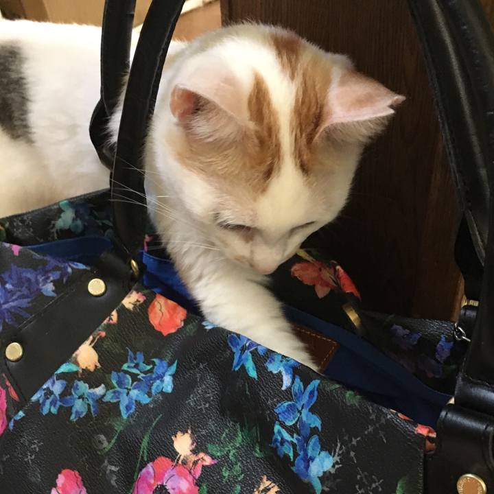 2318dc5e ef13 43d9 add3 463bba4bb214