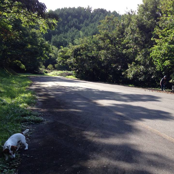 23193e58 62e6 4fe9 a95c 58a24e6a81b5