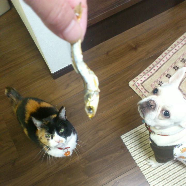 2319422b d6f8 44b7 959e de8177065d9a