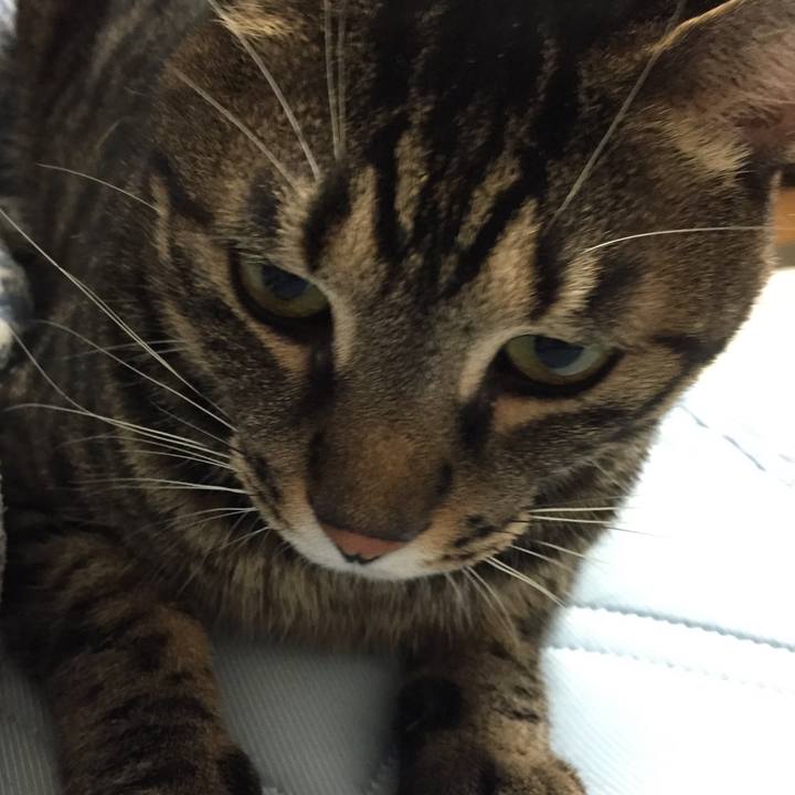 231a1755 6fde 4a43 837a 7bca6dde5703