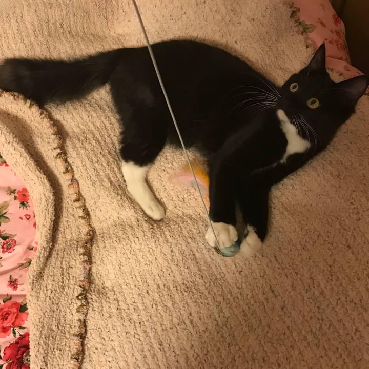 231a2a94 f99d 496f b669 ea5c6783fb27