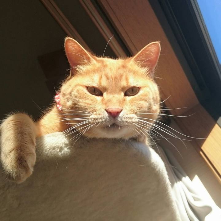 231a5771 056f 4faa b1f5 f70dd96892ca