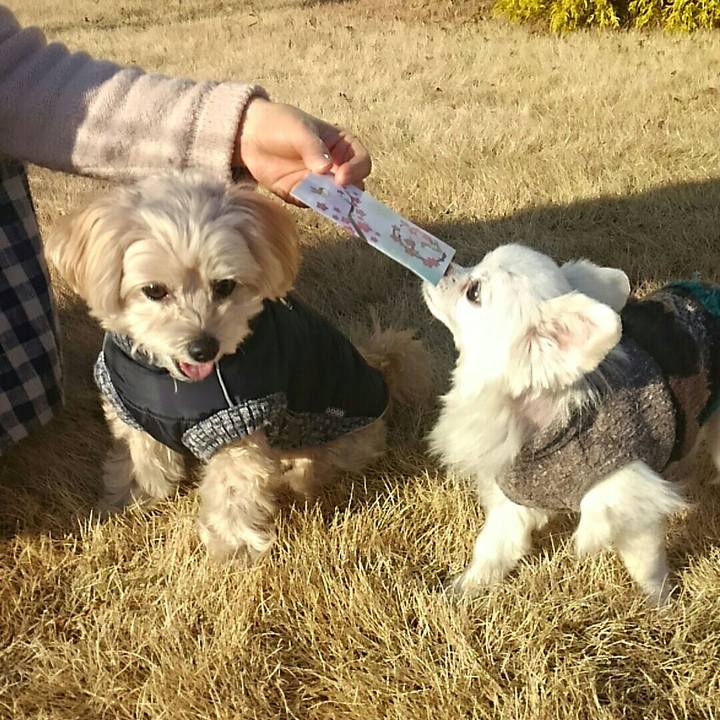 231a7236 ec92 4d88 8dd4 f2cab93f8797