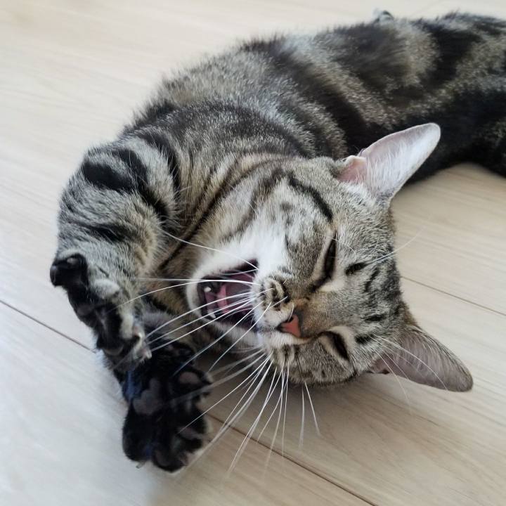 231a74f4 11f8 4346 932f 6f82c9163085