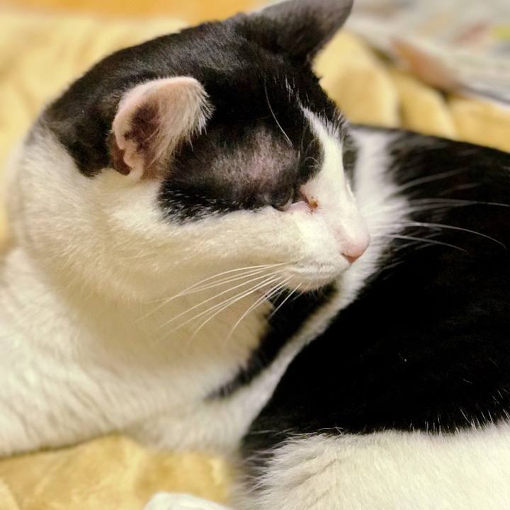 231b61c0 dff6 4556 a50d 5afb0f86cf6b